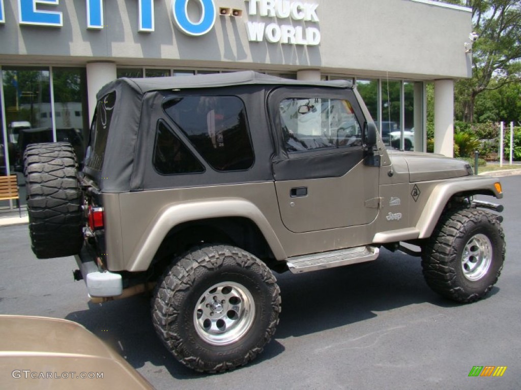 2004 Wrangler Sahara 4x4 - Light Khaki Metallic / Khaki photo #9