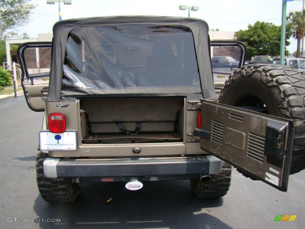 2004 Wrangler Sahara 4x4 - Light Khaki Metallic / Khaki photo #12