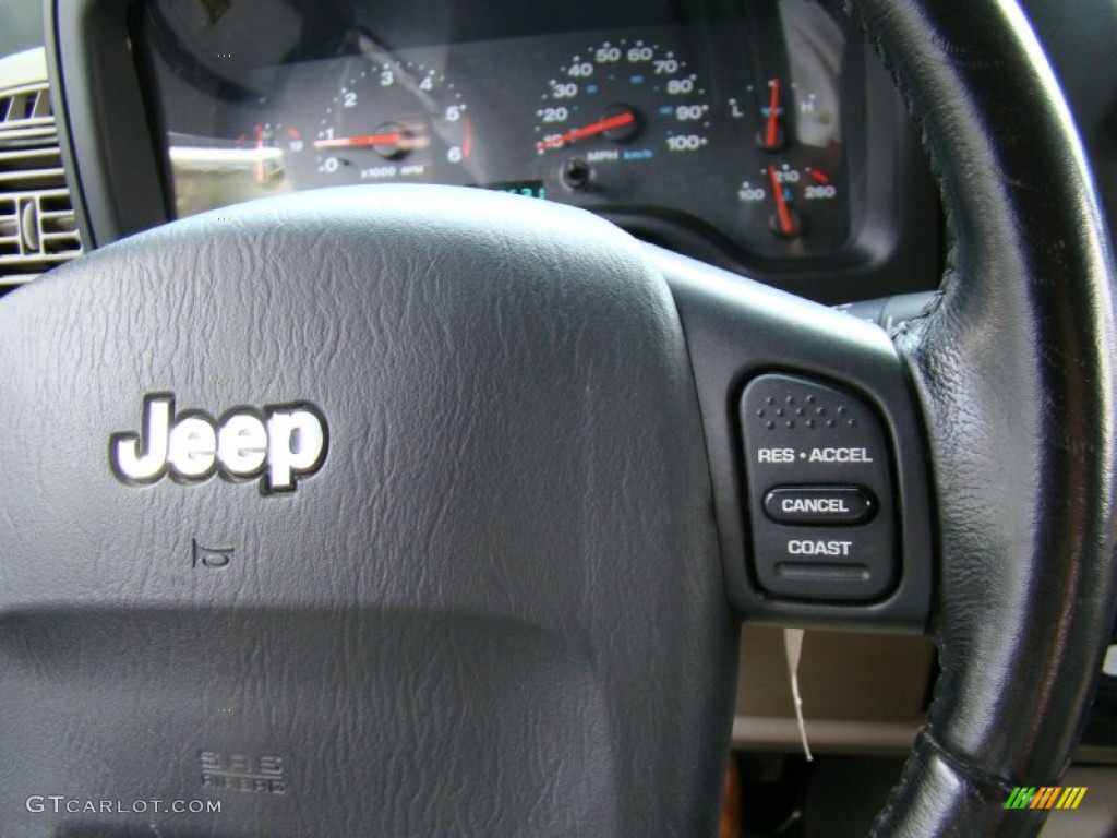 2004 Wrangler Sahara 4x4 - Light Khaki Metallic / Khaki photo #21