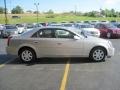 Light Platinum - CTS Sedan Photo No. 3