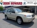 Champagne Gold Opal - Forester 2.5 X Photo No. 1
