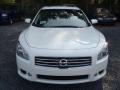 Winter Frost White - Maxima 3.5 SV Photo No. 5