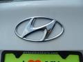 Pearl White - Elantra GLS Photo No. 16