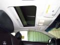 Graphite Sunroof Photo for 2008 Infiniti G #50041755