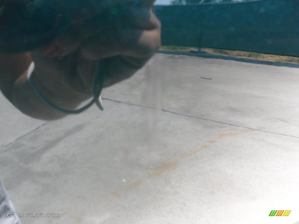 2003 Tahoe LS - Dark Green Metallic / Gray/Dark Charcoal photo #18