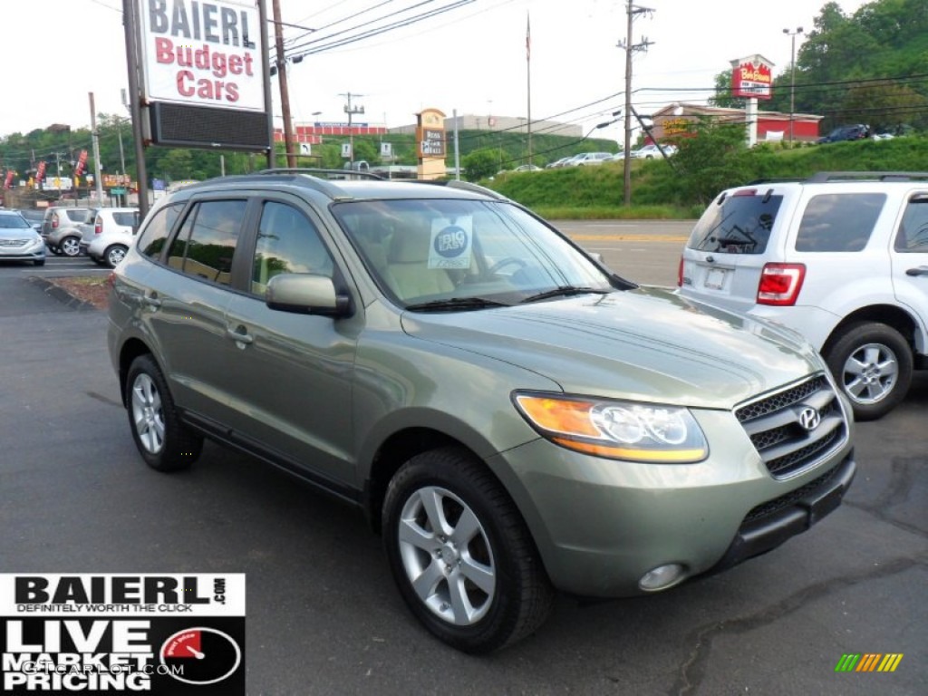 2008 Santa Fe SE 4WD - Natural Khaki Green / Beige photo #1