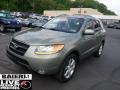 2008 Natural Khaki Green Hyundai Santa Fe SE 4WD  photo #3