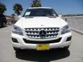 Arctic White - ML 350 Photo No. 2
