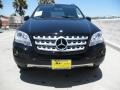 Black - ML 350 Photo No. 2