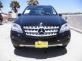 Black - ML 350 Photo No. 2