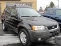 2003 Black Clearcoat Ford Escape XLT V6 4WD  photo #18