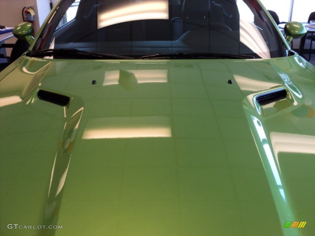 2011 Challenger SRT8 392 - Green with Envy / Dark Slate Gray photo #17