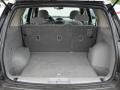 Gray Trunk Photo for 2003 Saturn VUE #50077099