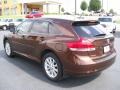 2009 Sunset Bronze Mica Toyota Venza I4  photo #3