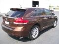 2009 Sunset Bronze Mica Toyota Venza I4  photo #4