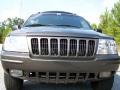 2000 Taupe Frost Metallic Jeep Grand Cherokee Limited 4x4  photo #13