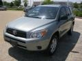 Everglade Metallic - RAV4 4WD Photo No. 2