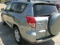 Everglade Metallic - RAV4 4WD Photo No. 8