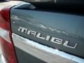 2005 Medium Gray Metallic Chevrolet Malibu LT V6 Sedan  photo #8