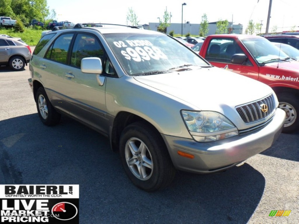 2002 RX 300 AWD - Millennium Silver Metallic / Black photo #1