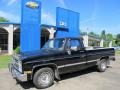 1986 Midnight Black Chevrolet C/K C10 Silverado Regular Cab  photo #1