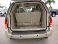 Pebble Beige Trunk Photo for 2007 Ford Freestar #50096706