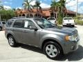 2010 Sterling Grey Metallic Ford Escape Limited  photo #1