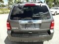 2010 Sterling Grey Metallic Ford Escape Limited  photo #7