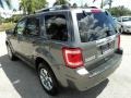 2010 Sterling Grey Metallic Ford Escape Limited  photo #9