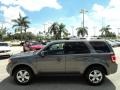 2010 Sterling Grey Metallic Ford Escape Limited  photo #10