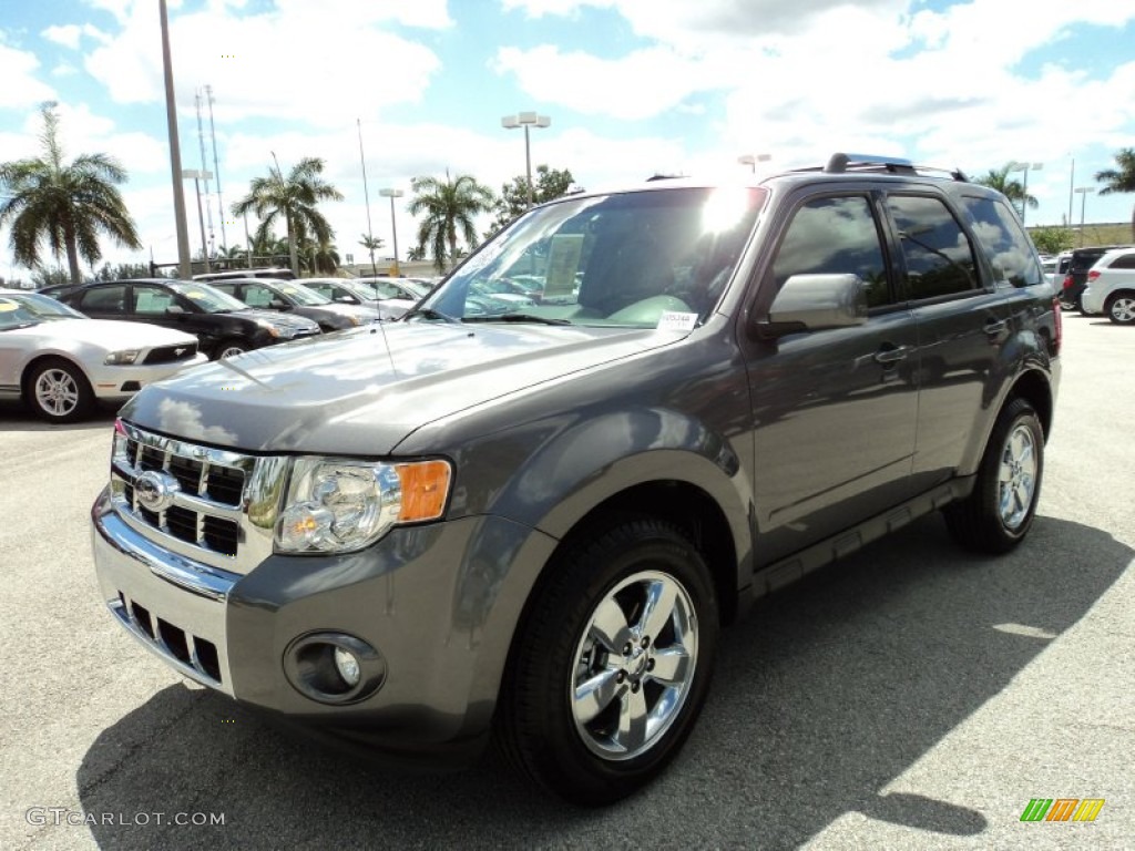 Sterling Grey Metallic 2010 Ford Escape Limited Exterior Photo #50097957
