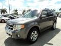 Sterling Grey Metallic 2010 Ford Escape Limited Exterior