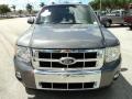 2010 Sterling Grey Metallic Ford Escape Limited  photo #15