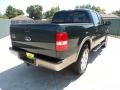 2006 Aspen Green Metallic Ford F150 Lariat SuperCrew 4x4  photo #3