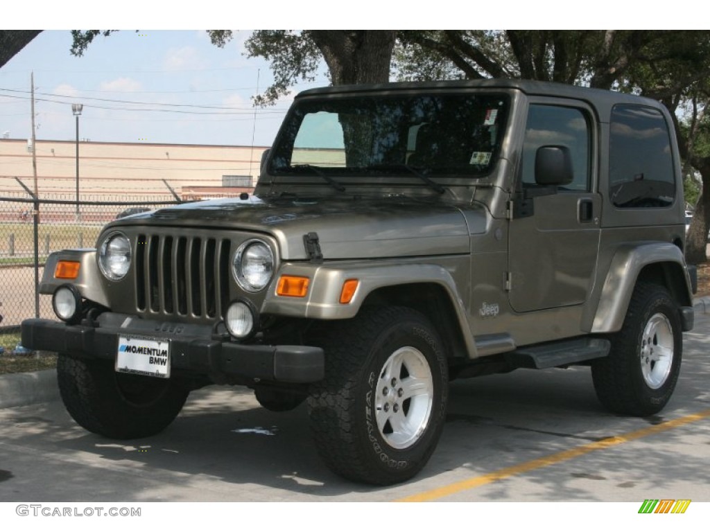 2004 Wrangler Sahara 4x4 - Light Khaki Metallic / Khaki photo #2