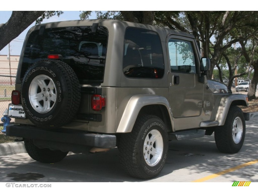 2004 Wrangler Sahara 4x4 - Light Khaki Metallic / Khaki photo #3