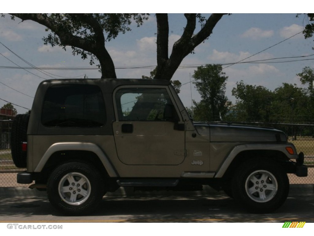 2004 Wrangler Sahara 4x4 - Light Khaki Metallic / Khaki photo #4