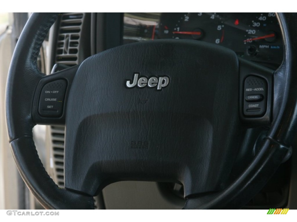2004 Wrangler Sahara 4x4 - Light Khaki Metallic / Khaki photo #10