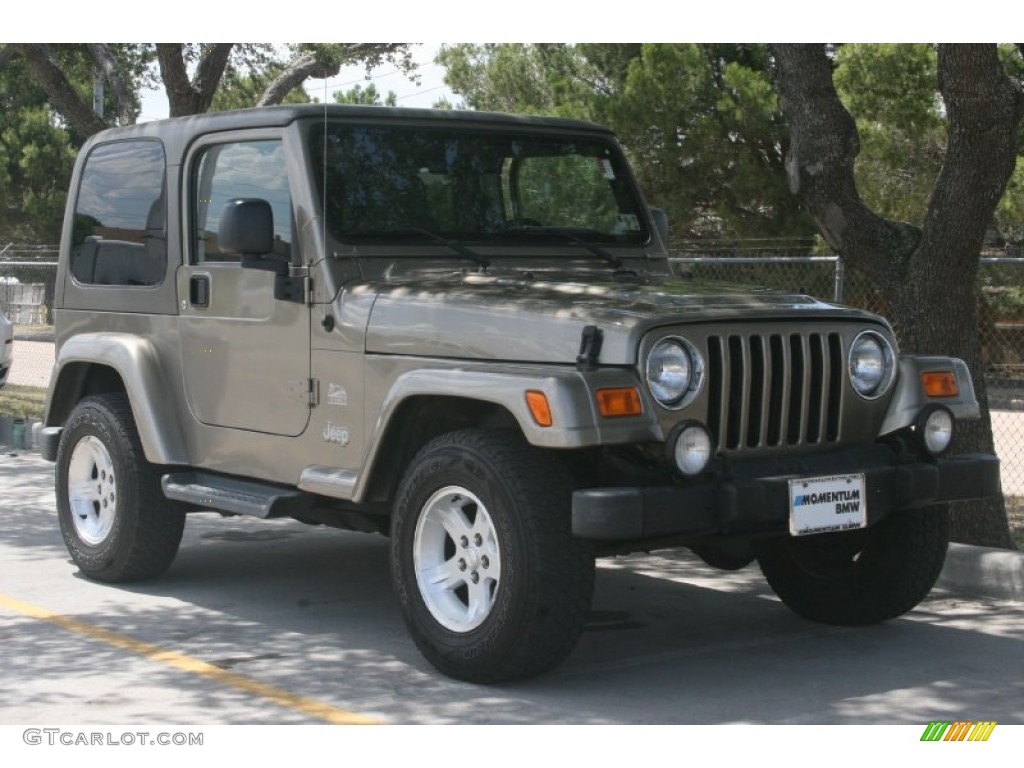 2004 Wrangler Sahara 4x4 - Light Khaki Metallic / Khaki photo #11