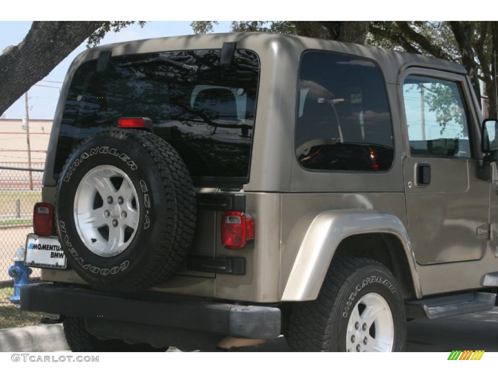2004 Wrangler Sahara 4x4 - Light Khaki Metallic / Khaki photo #13