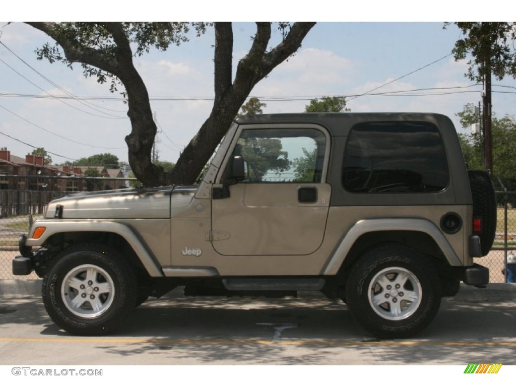 2004 Wrangler Sahara 4x4 - Light Khaki Metallic / Khaki photo #17