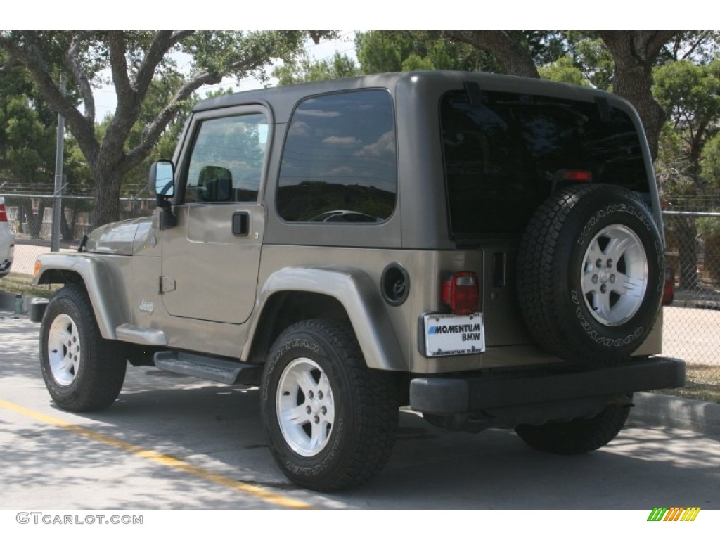 2004 Wrangler Sahara 4x4 - Light Khaki Metallic / Khaki photo #18