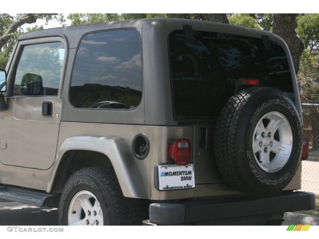 2004 Wrangler Sahara 4x4 - Light Khaki Metallic / Khaki photo #19