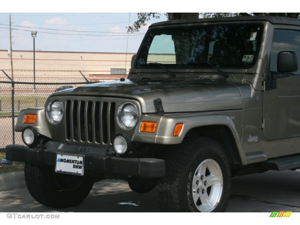 2004 Wrangler Sahara 4x4 - Light Khaki Metallic / Khaki photo #20