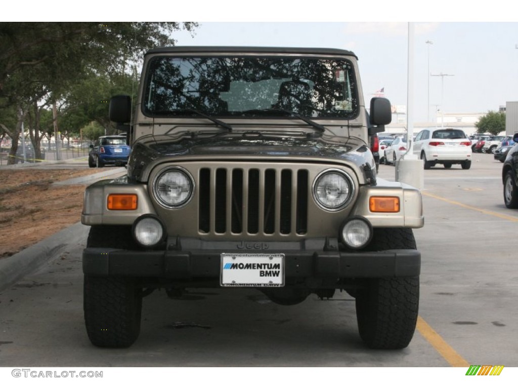 2004 Wrangler Sahara 4x4 - Light Khaki Metallic / Khaki photo #21