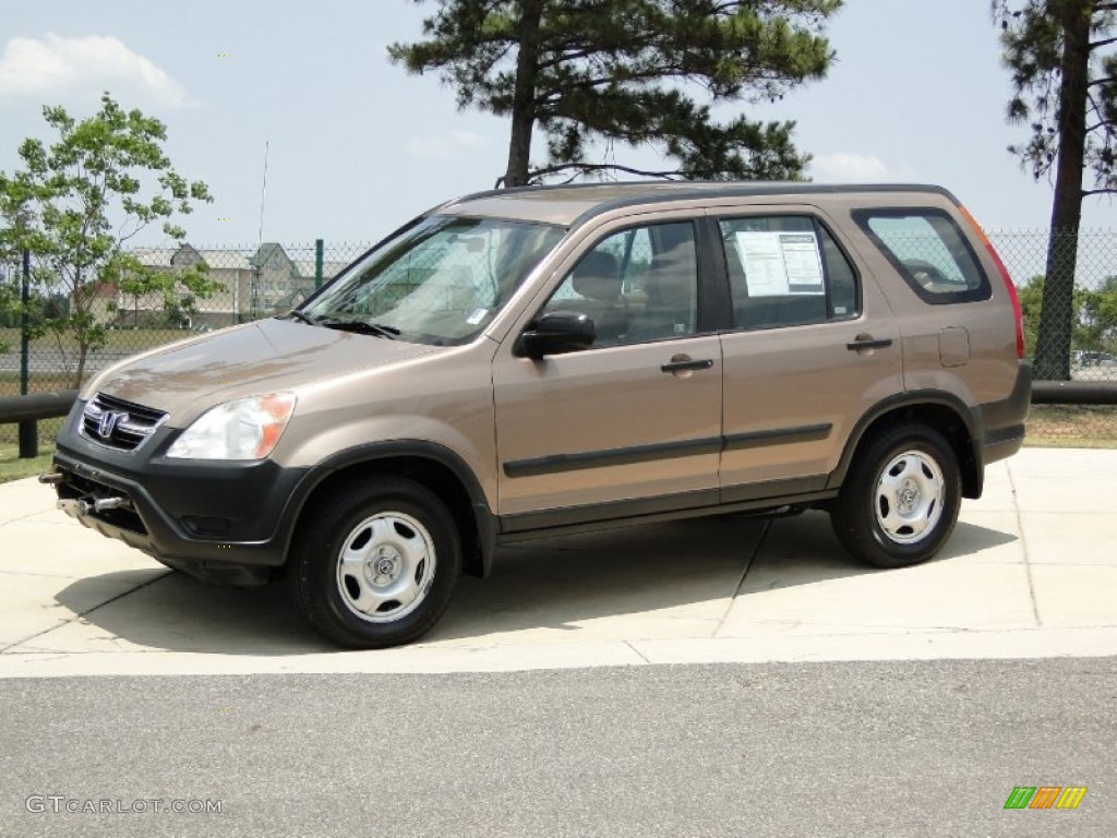 2003 CR-V LX - Mojave Mist Metallic / Saddle photo #10