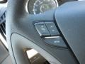 Radiant Silver - Sonata GLS Photo No. 26
