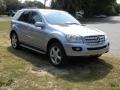 Alpine Rain Metallic - ML 350 4Matic Photo No. 1