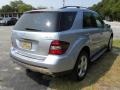 Alpine Rain Metallic - ML 350 4Matic Photo No. 17