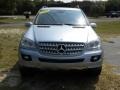 Alpine Rain Metallic - ML 350 4Matic Photo No. 24